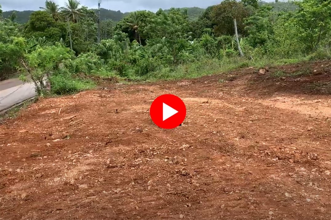 Land for Sale near Playa Rincon Samana Dominican Republic.